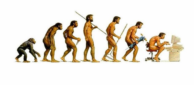 The Story of the Human Body: Evolution, Health & Disease